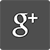 Grand Island Google Plus Icon 
